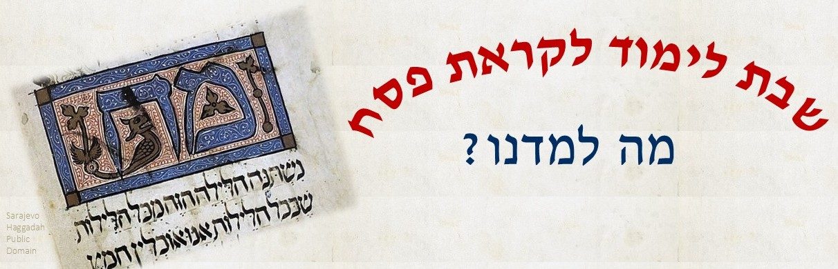 שבת לימוד מה למדנו